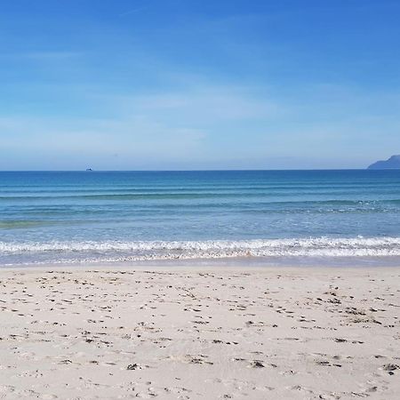 Ideal Property Mallorca - Concha Port de Alcudia  Esterno foto